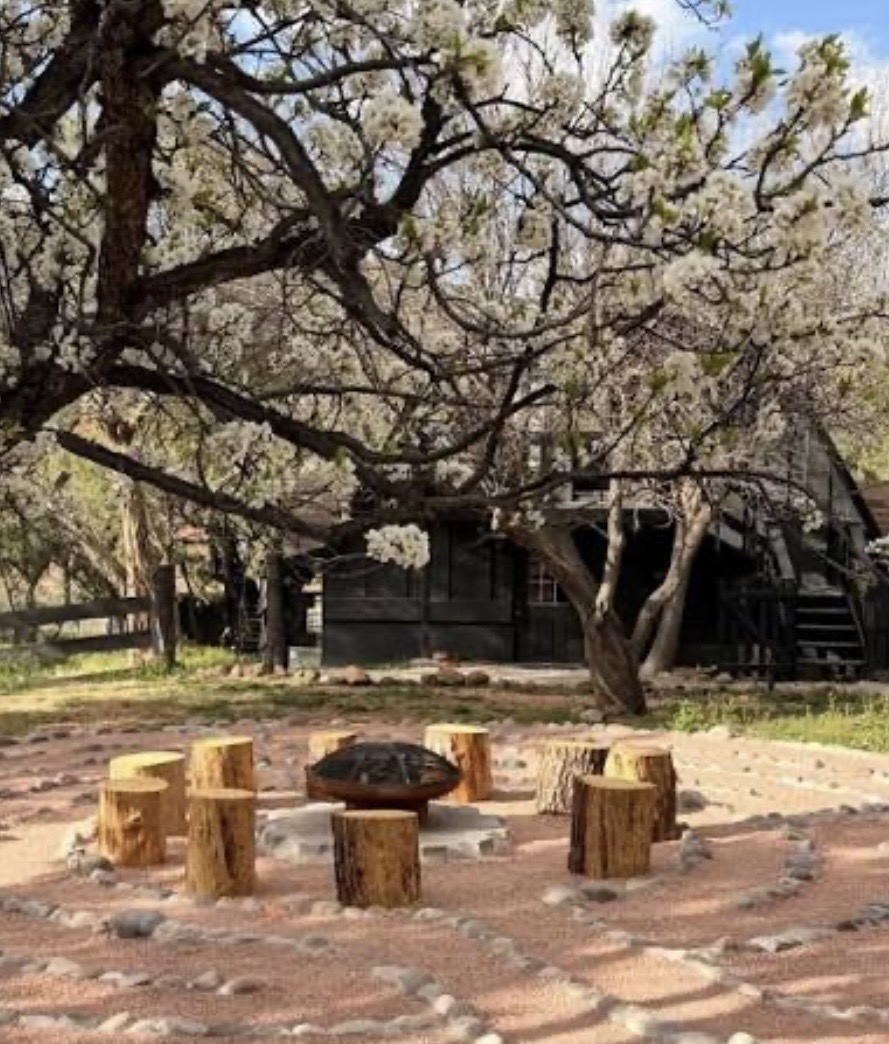 Sacred fire circle beneath the blossoming tree