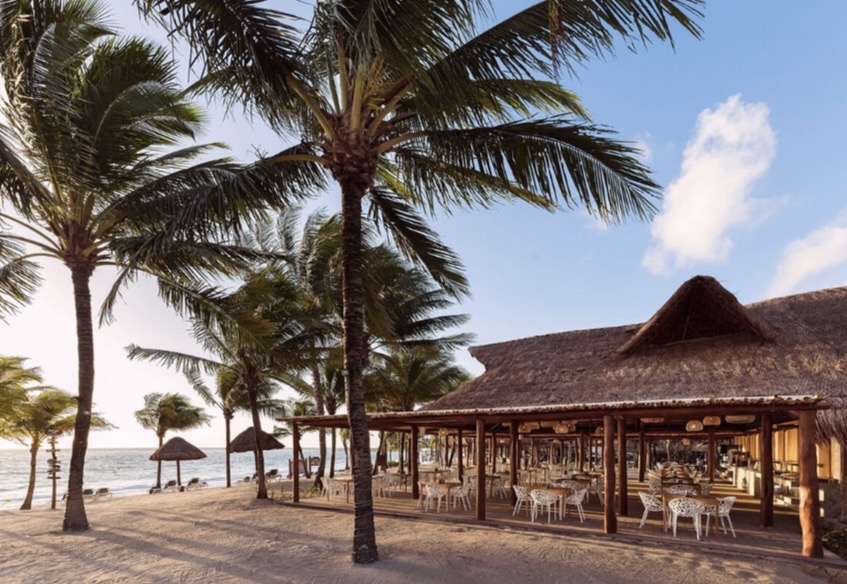 Beachfront dining beneath the palms